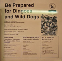 ランドリーにあるディンゴや野犬に対する注意事項